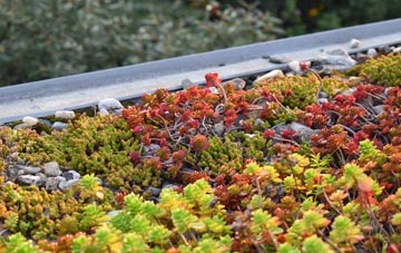 the cost of Curtisden Green green roof installation