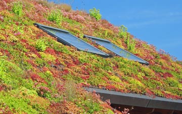 Curtisden Green living roof systems
