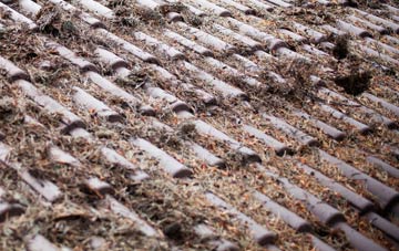 Curtisden Green roof cleaning companies